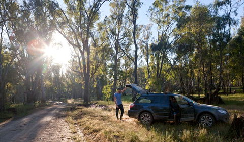 Wallingat Forest Drive - Accommodation in Bendigo 1