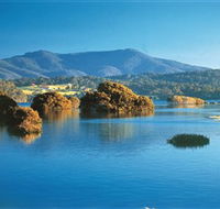 Wagonga Picnic Area - Accommodation in Bendigo