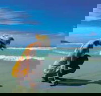 Diamond Beach - Accommodation in Bendigo