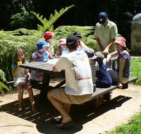 The Pines picnic area - Accommodation in Bendigo
