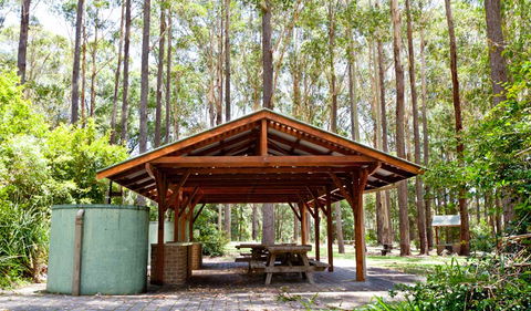 Bongil Picnic Area - Accommodation in Bendigo 0