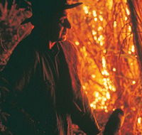 The Shed Gallery - Accommodation in Bendigo