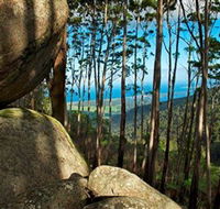 Mount Gulaga Mount Dromedary Walk - Accommodation in Bendigo