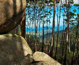 Mount Gulaga (Mount Dromedary) Walk - Accommodation in Bendigo 0