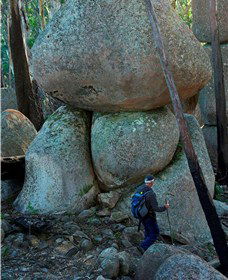 Mount Gulaga (Mount Dromedary) Walk - Accommodation in Bendigo 1