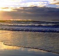 Handkerchief Beach Picnic Area - Accommodation in Bendigo