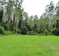 Kerewong State Forest - Accommodation in Bendigo