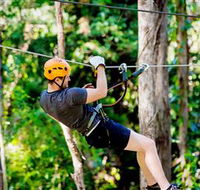 TreeTop Challenge Currumbin - Accommodation in Bendigo