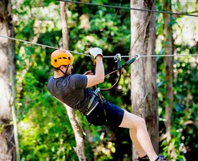 TreeTop Challenge Currumbin - Accommodation in Bendigo 0