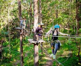 TreeTop Challenge Currumbin - Accommodation in Bendigo 1