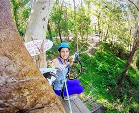 TreeTop Challenge Currumbin - Accommodation in Bendigo 3