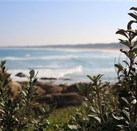 Cape Conran Nature Trail - Accommodation in Bendigo