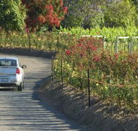 Cassegrain Wines - Accommodation in Bendigo