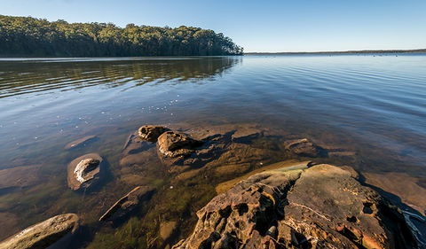 Queens Lake Nature Reserve - Accommodation in Bendigo 0