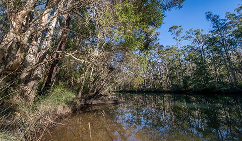 Queens Lake Nature Reserve - Accommodation in Bendigo 3