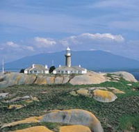 Montague Island Nature Reserve - Accommodation in Bendigo