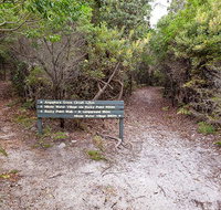 Angophora grove walking track - Accommodation in Bendigo
