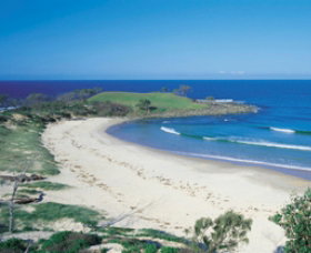 Angourie Beach - Accommodation in Bendigo 1