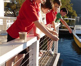 Dunbogan Boatshed - Accommodation in Bendigo 3