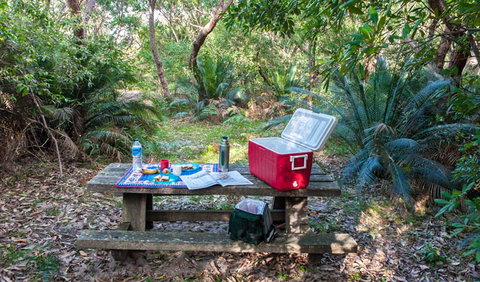 Broadwater Beach Picnic Area - Accommodation in Bendigo 0