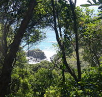 Rainforest walking track - Accommodation in Bendigo