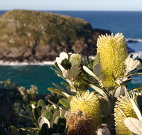 Green Island walking track - Accommodation in Bendigo