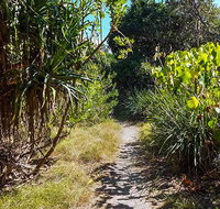 North Head walking track - Accommodation in Bendigo
