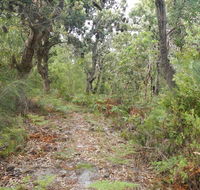Kinchela Trig Lookout walk - Accommodation in Bendigo