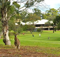 Pambula Merimbula Golf Club - Accommodation in Bendigo
