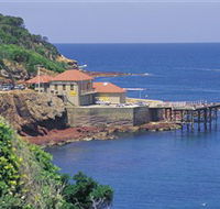 Merimbula Aquarium - Accommodation in Bendigo