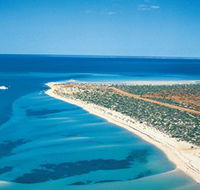 Monkey Mia - Accommodation in Bendigo