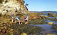 Sapphire Coast Marine Discovery Centre - thumb 0
