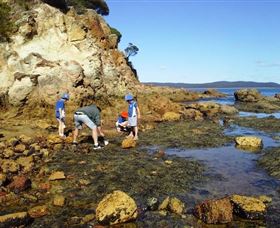 Sapphire Coast Marine Discovery Centre - Accommodation in Bendigo 0