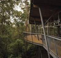 Tarkine Forest Adventures - Dismal Swamp - Accommodation in Bendigo