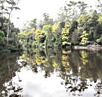 Arthur River - Accommodation in Bendigo