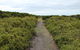 Ben Boyd National Park - thumb 3