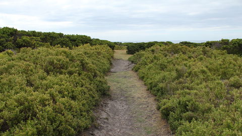 Ben Boyd National Park - Accommodation in Bendigo 3
