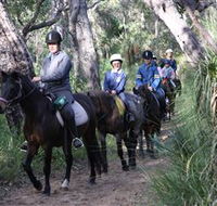 Mirravale Horse Riding School - Accommodation in Bendigo
