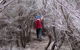 Nadgee Nature Reserve - thumb 3