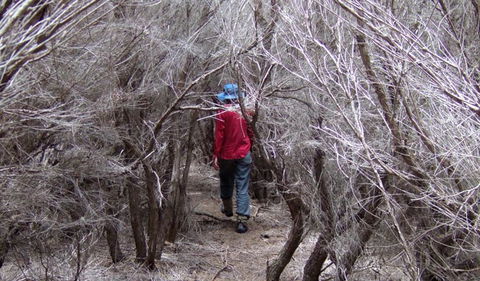 Nadgee Nature Reserve - Accommodation in Bendigo 3