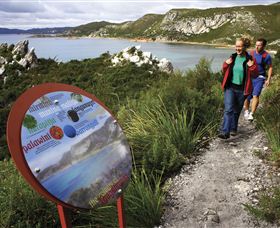 Rocky Cape National Park - Accommodation in Bendigo 0