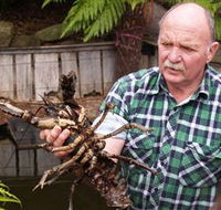 Lobster Ponds - Accommodation in Bendigo