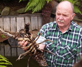 Lobster Ponds - Accommodation in Bendigo 0