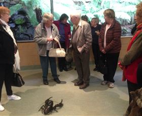 Lobster Ponds - Accommodation in Bendigo 1
