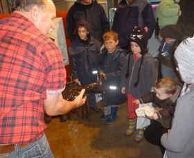Lobster Ponds - Accommodation in Bendigo 3