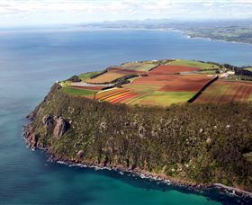 Table Cape - Accommodation in Bendigo 0
