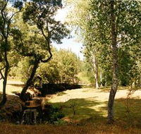 Oldina Picnic Area - Accommodation in Bendigo