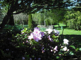 Annsleigh Gardens And Cafe - Accommodation in Bendigo 3