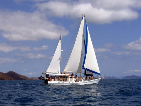 Adventure, Cruise, Dive And Outer Reef - Whitsundays Sailing Adventures - Accommodation in Bendigo 5