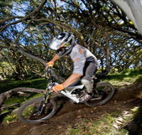 All Terrain Cycles - Accommodation in Bendigo